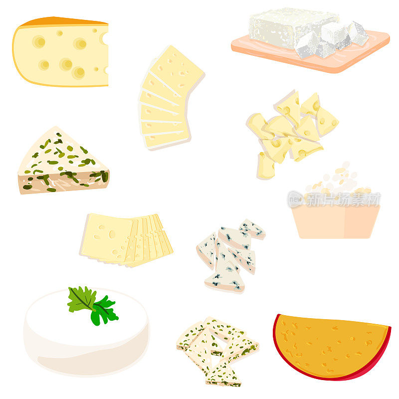 Colorful illustration of cheese